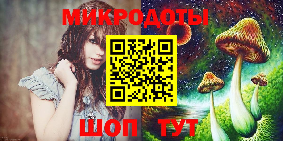 Псилоцибиновые грибы Psilocybe Усть-Джегута
